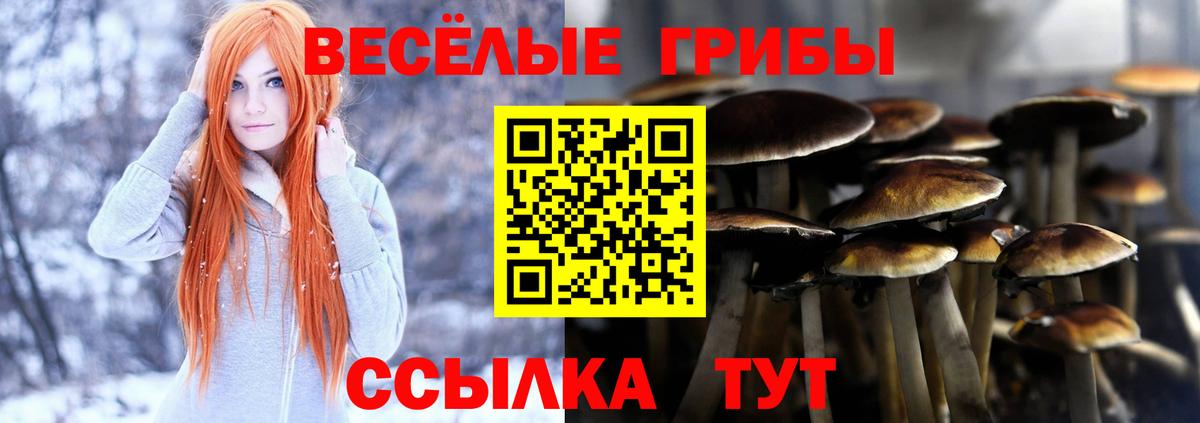 Галлюциногенные грибы Magic Shrooms Биробиджан